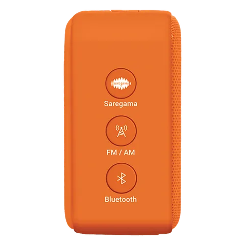 SAREGAMA Carvaan Mini Bhagavad Gita 5W Portable Bluetooth Speaker (5 Hours Playtime, 2.1 Channel, Orange)