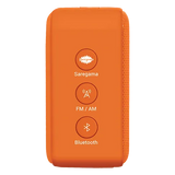 SAREGAMA Carvaan Mini Bhagavad Gita 5W Portable Bluetooth Speaker (5 Hours Playtime, 2.1 Channel, Orange)